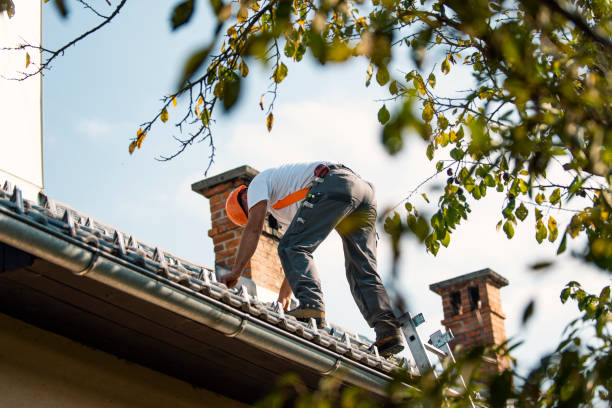Best Storm Damage Roof Repair  in Everman, TX