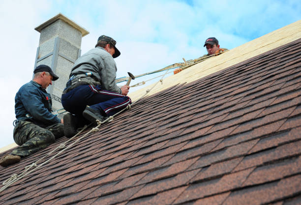 Best Roof Waterproofing Services  in Everman, TX